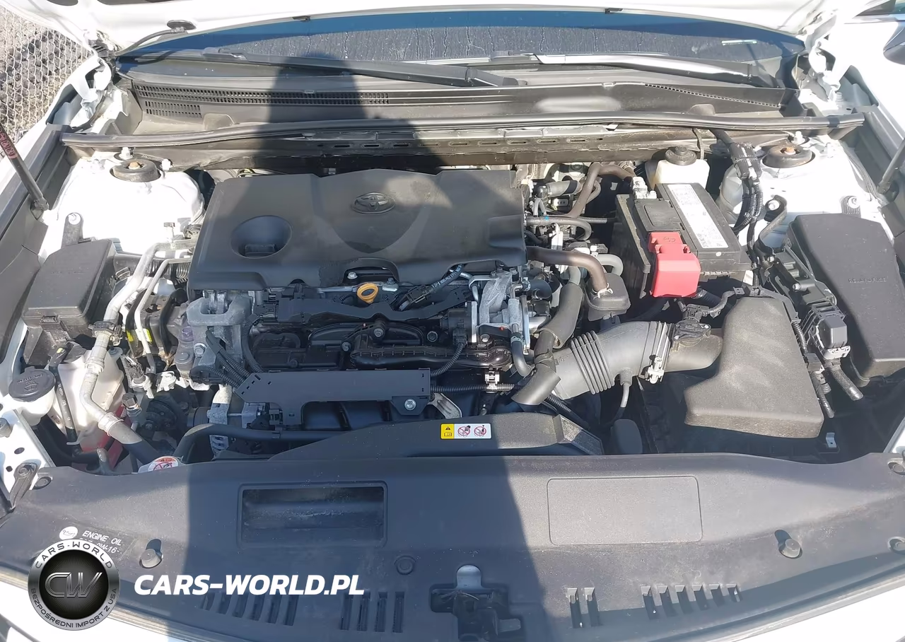 2019 Toyota Camry Xle VIN:4T1B11HK7KU817717 - 10