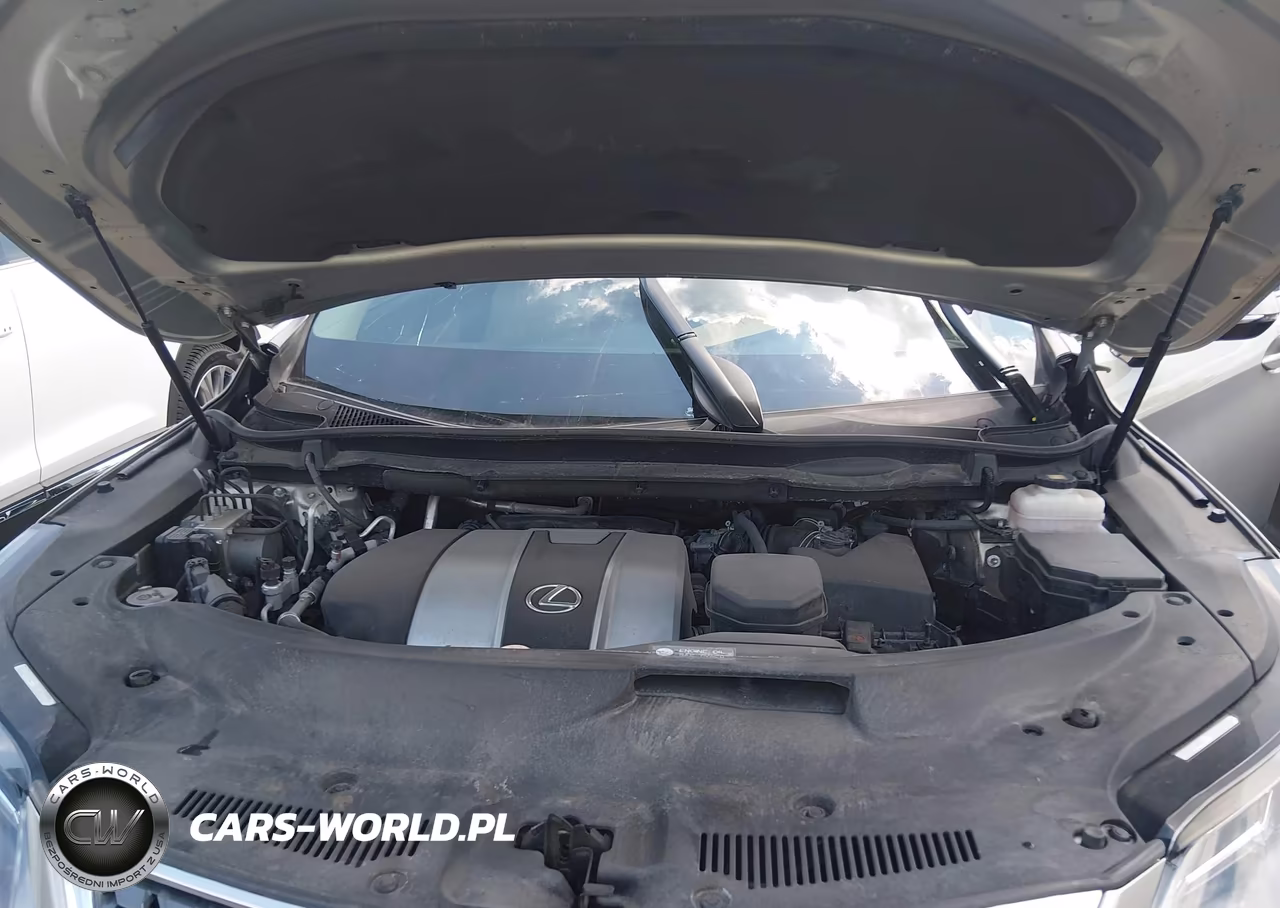 2020 Lexus Rx 350 VIN:2T2HZMDA7LC233818 - 10