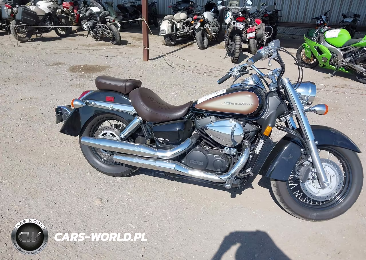 2024 Honda Vt750 Cs VIN:JH2RC5082RK200579 - 12