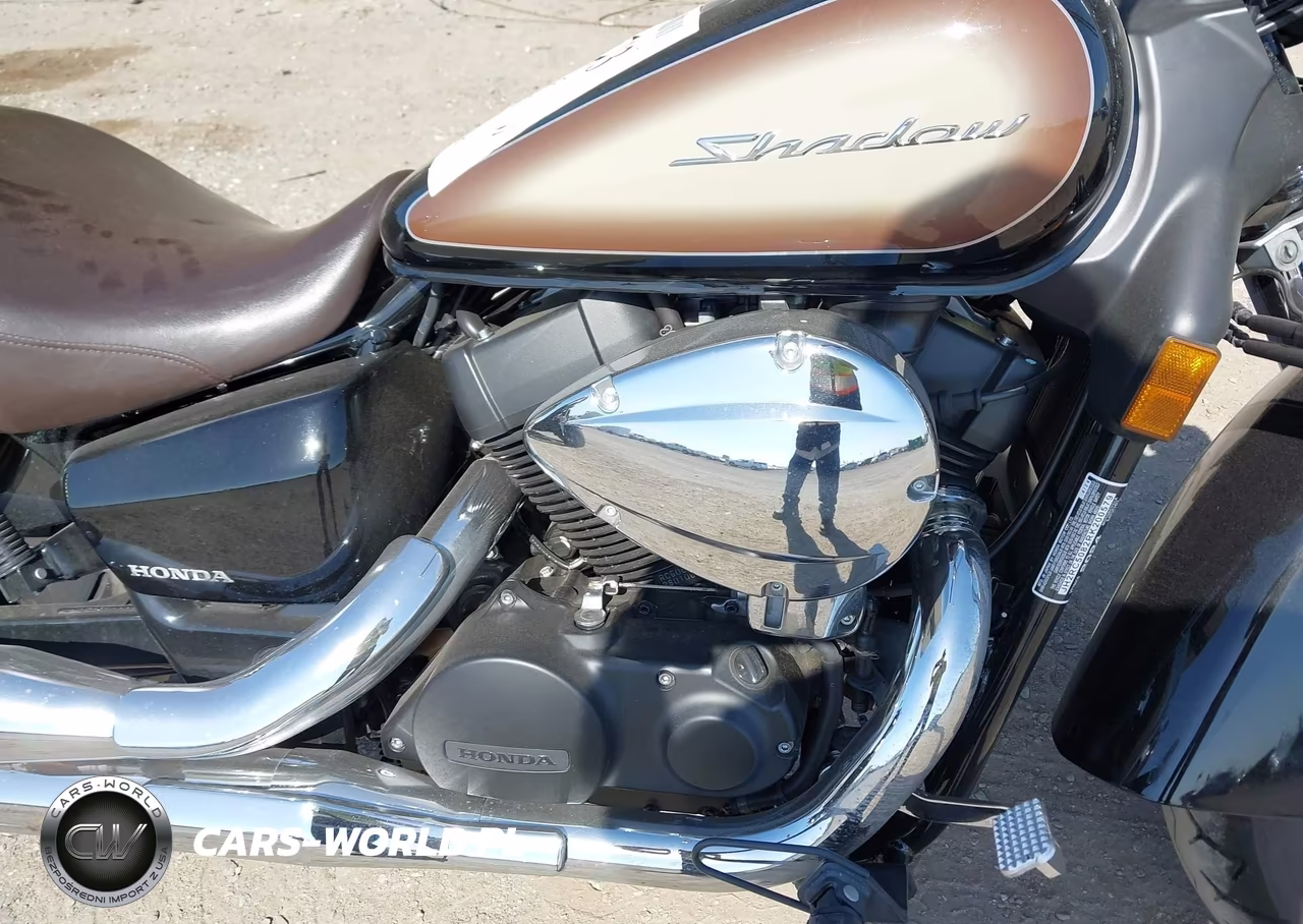 2024 Honda Vt750 Cs VIN:JH2RC5082RK200579 - 8