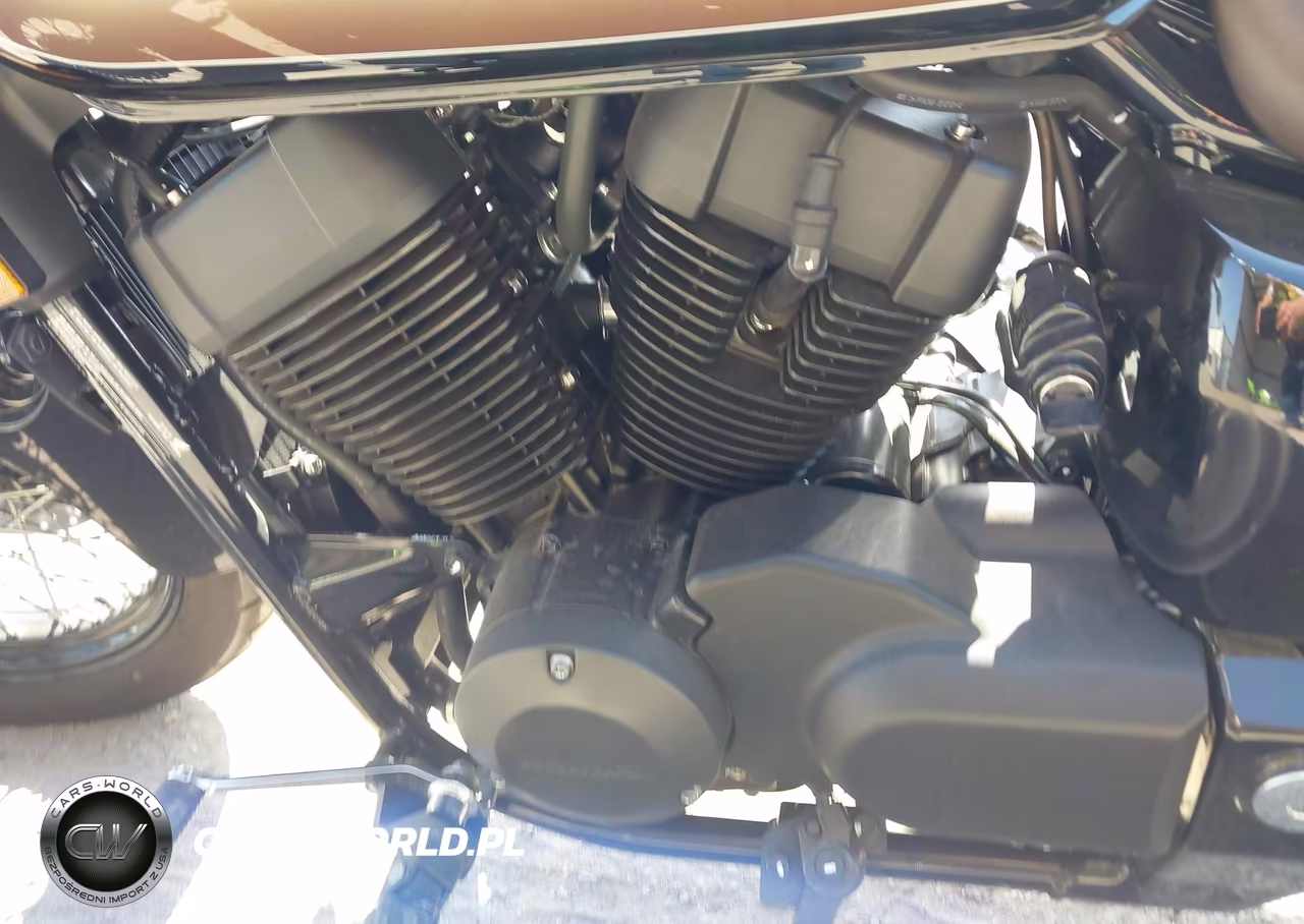 2024 Honda Vt750 Cs VIN:JH2RC5082RK200579 - 9