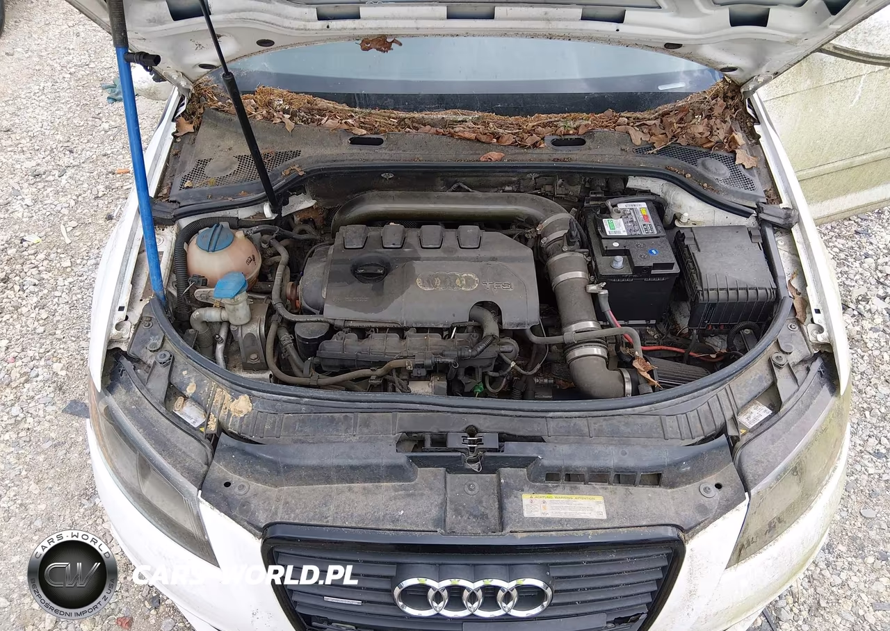 2010 Audi A3 2.0T Premium VIN:WAUMFAFM8AA026712 - 10