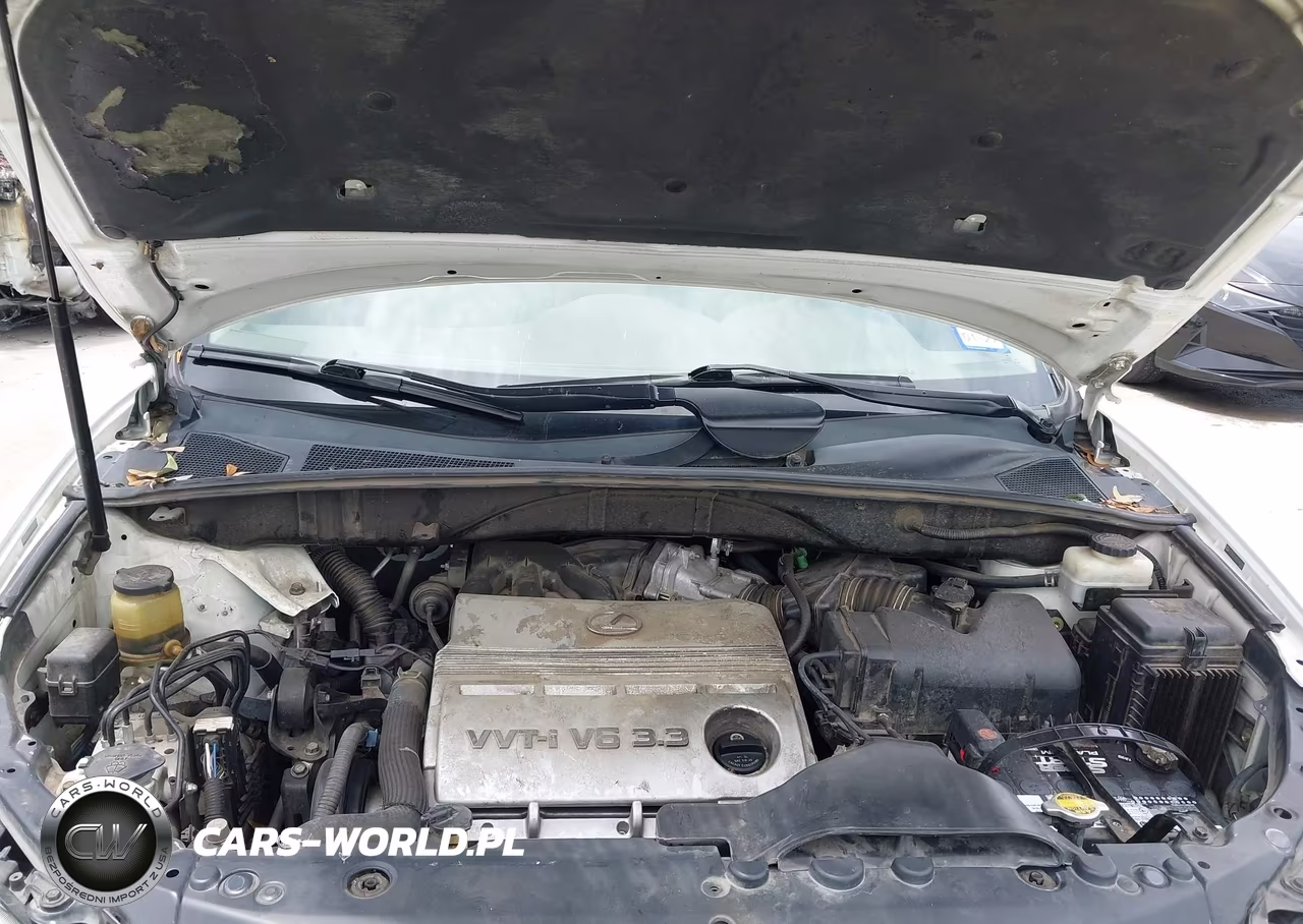 2005 Lexus Rx 330 VIN:2T2GA31U75C040325 - 10