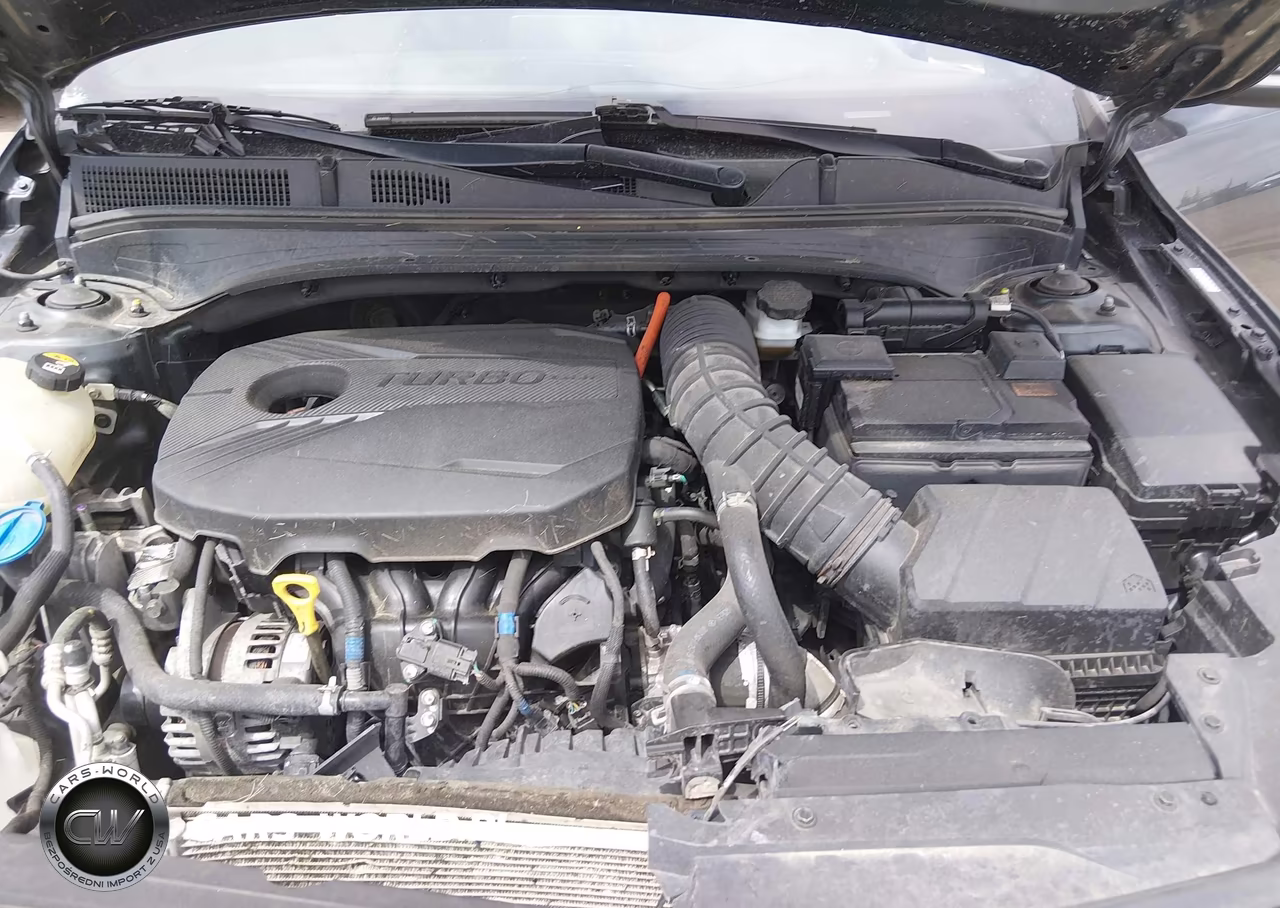 2020 Kia Forte Gt Manual VIN:3KPF44AC2LE259664 - 10
