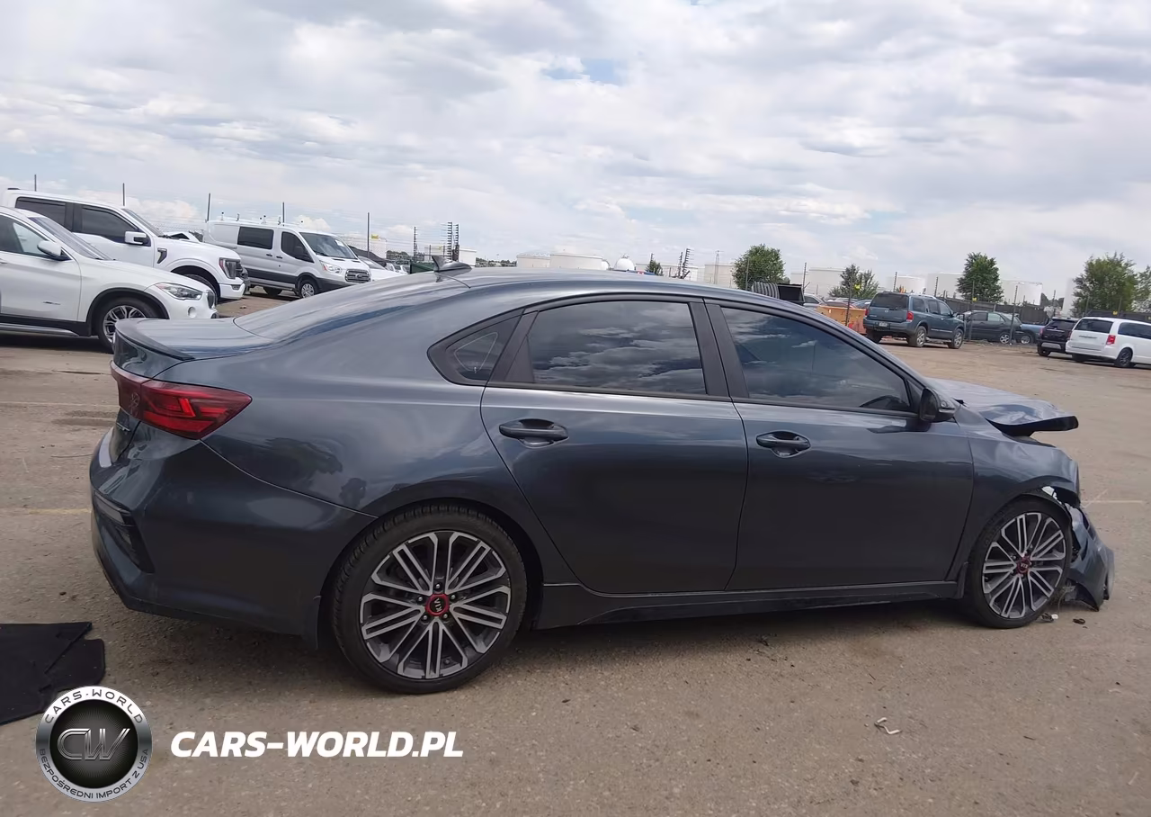 2020 Kia Forte Gt Manual VIN:3KPF44AC2LE259664 - 13
