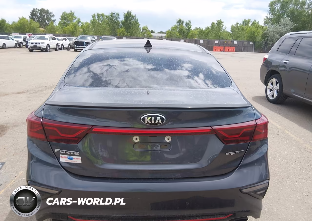 2020 Kia Forte Gt Manual VIN:3KPF44AC2LE259664 - 16