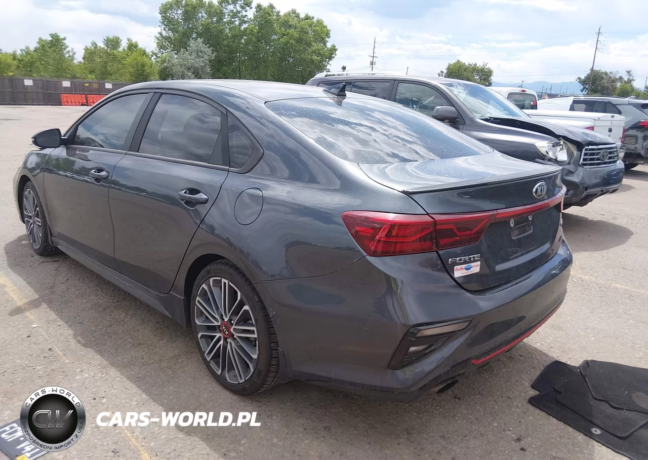 2020 Kia Forte Gt Manual VIN:3KPF44AC2LE259664 - 3