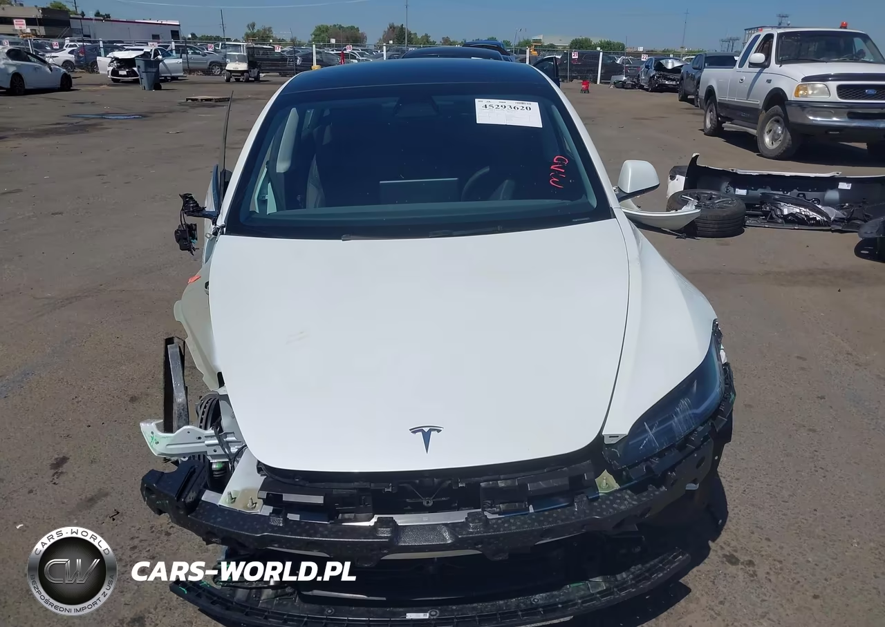 2025 Tesla Model 3 Long Range Rear-Wheel Drive-Standard Rear-Wheel Drive VIN:5YJ3E1EA0SF081897 - 11