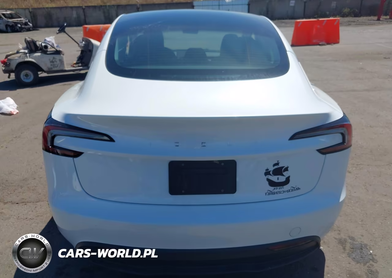 2025 Tesla Model 3 Long Range Rear-Wheel Drive-Standard Rear-Wheel Drive VIN:5YJ3E1EA0SF081897 - 15