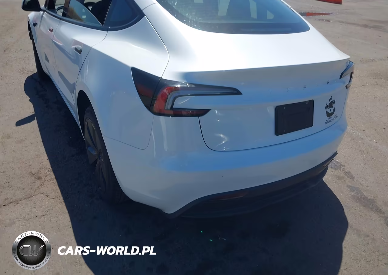 2025 Tesla Model 3 Long Range Rear-Wheel Drive-Standard Rear-Wheel Drive VIN:5YJ3E1EA0SF081897 - 3