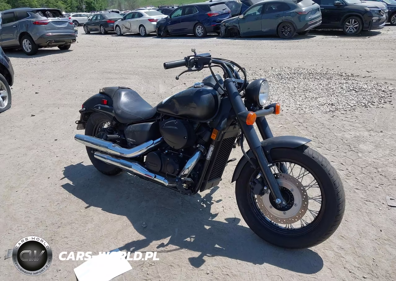 2023 Honda Vt750 C2B