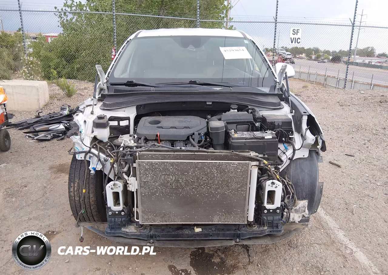 2020 Hyundai Santa Fe Sel VIN:5NMS33AD3LH147209 - 13