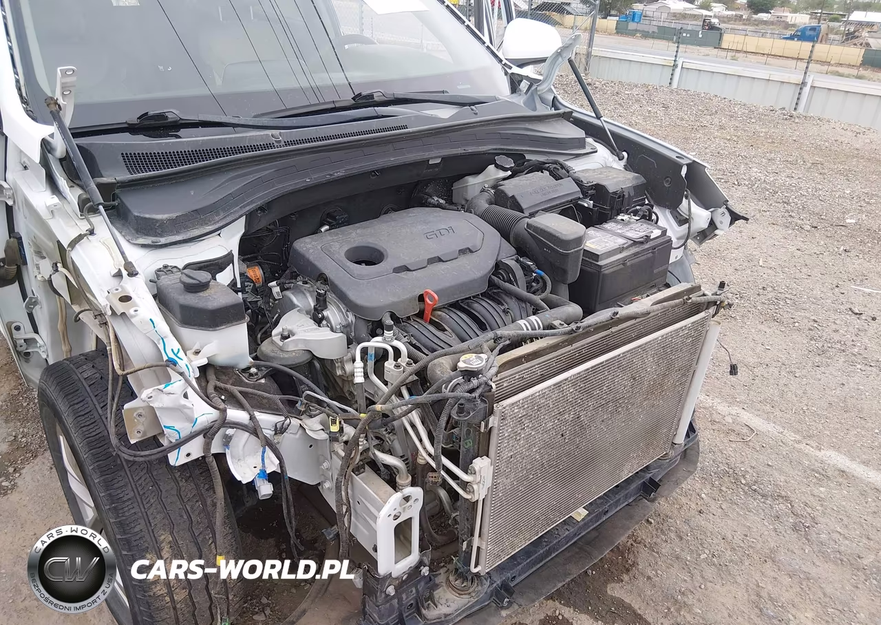 2020 Hyundai Santa Fe Sel VIN:5NMS33AD3LH147209 - 6