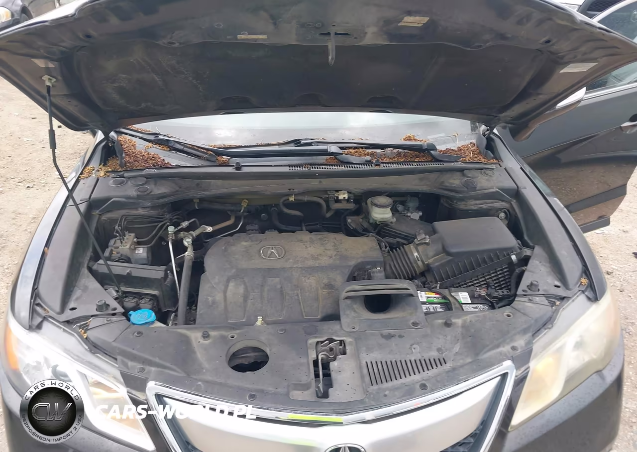 2015 Acura Rdx VIN:5J8TB3H39FL013510 - 10
