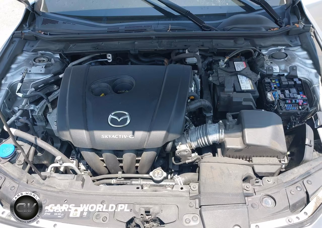 2019 Mazda Mazda3 Preferred Package VIN:3MZBPADL5KM105953 - 10