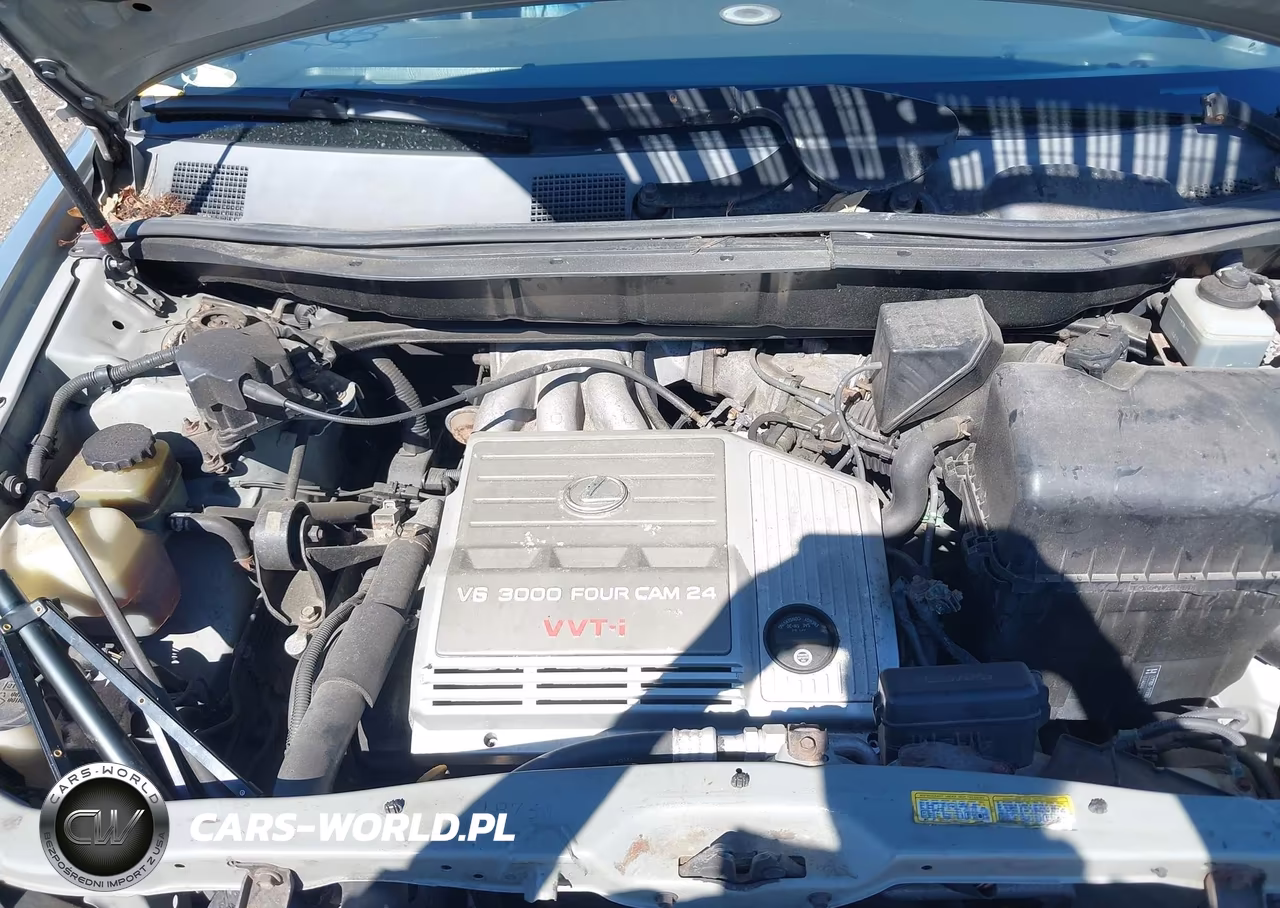 2000 Lexus Rx 300 VIN:JT6HF10U0Y0157539 - 10