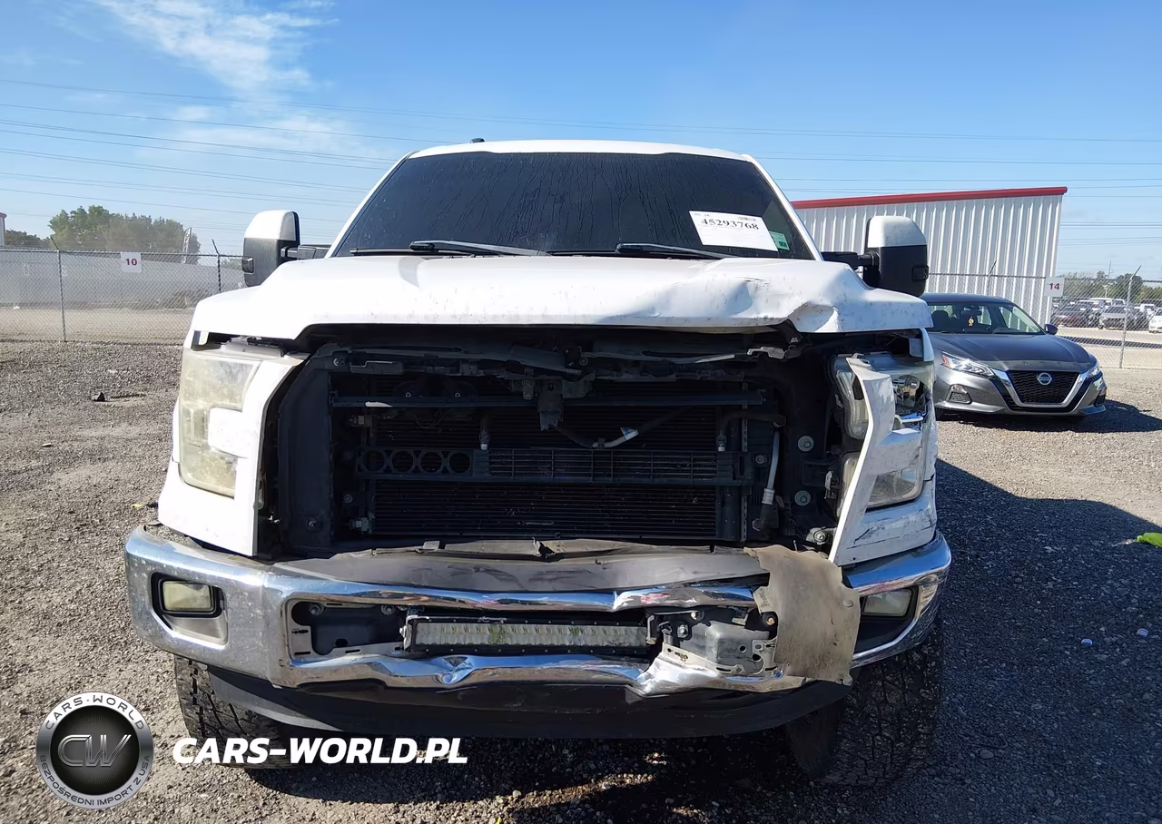 2015 Ford F-150 Xlt VIN:1FTEW1CP9FKE97503 - 12