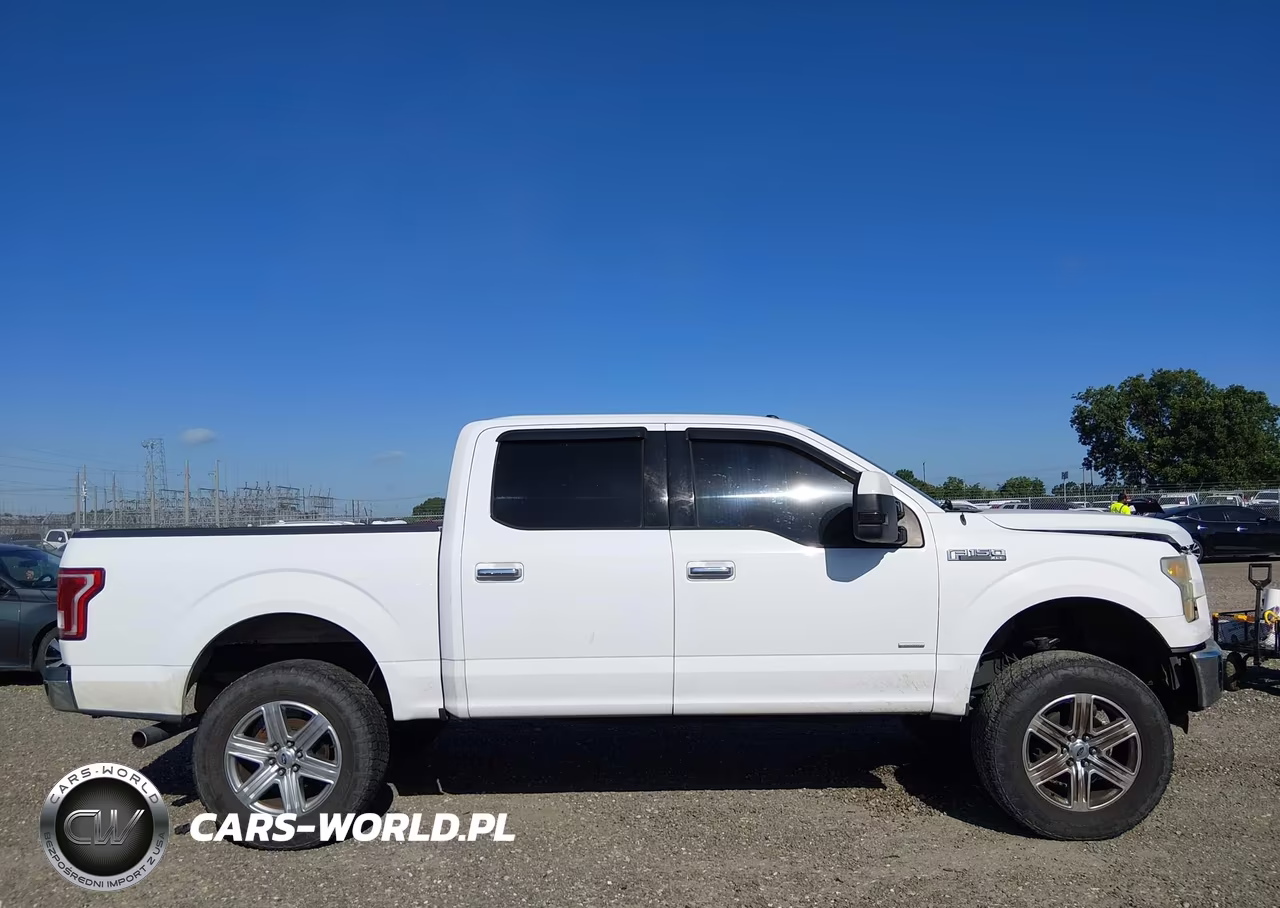 2015 Ford F-150 Xlt VIN:1FTEW1CP9FKE97503 - 13