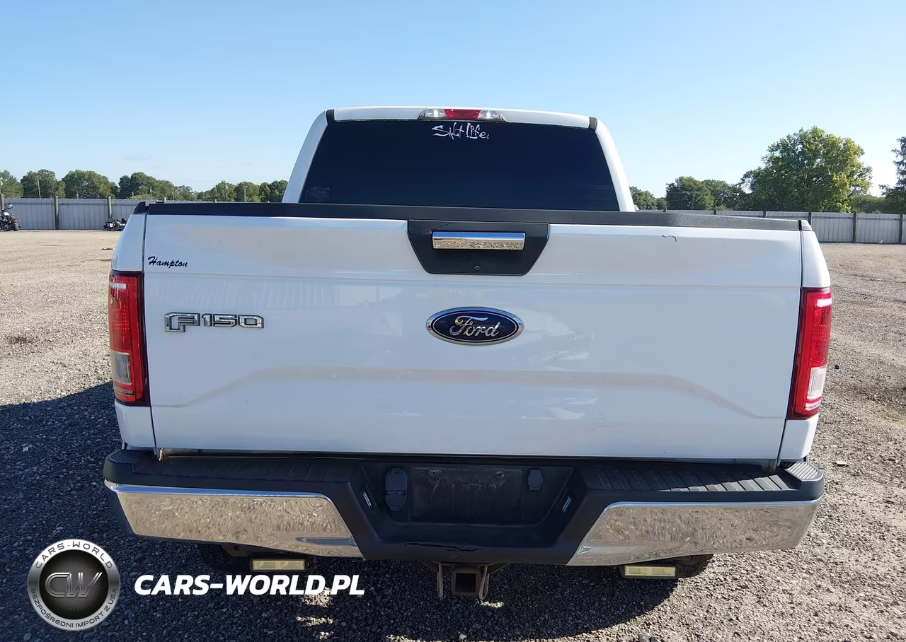 2015 Ford F-150 Xlt VIN:1FTEW1CP9FKE97503 - 16