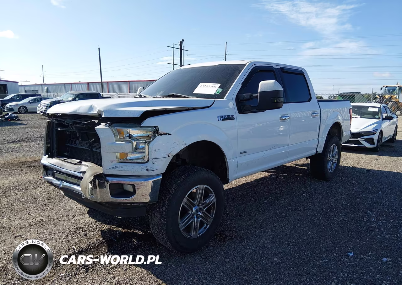 2015 Ford F-150 Xlt VIN:1FTEW1CP9FKE97503 - 2