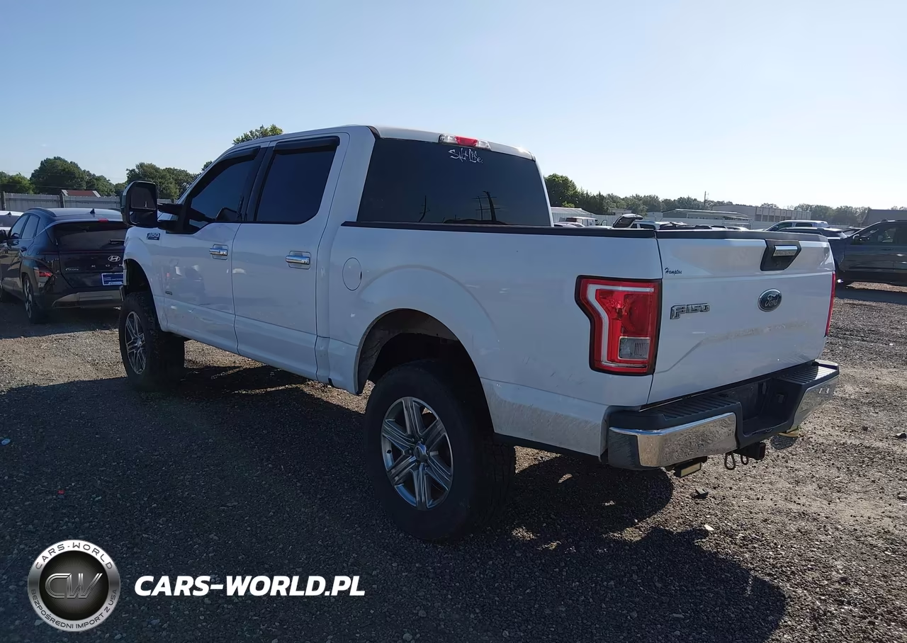 2015 Ford F-150 Xlt VIN:1FTEW1CP9FKE97503 - 3