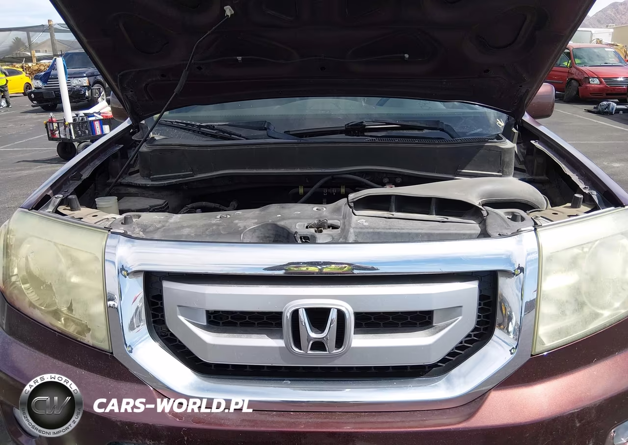 2009 Honda Pilot Ex VIN:5FNYF38409B022248 - 10