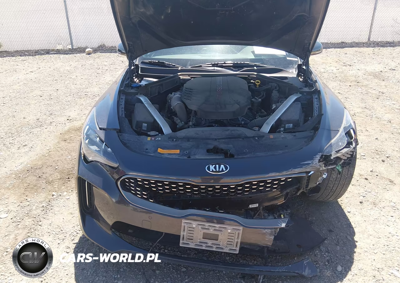 2020 Kia Stinger Gt VIN:KNAE35LC8L6080761 - 10
