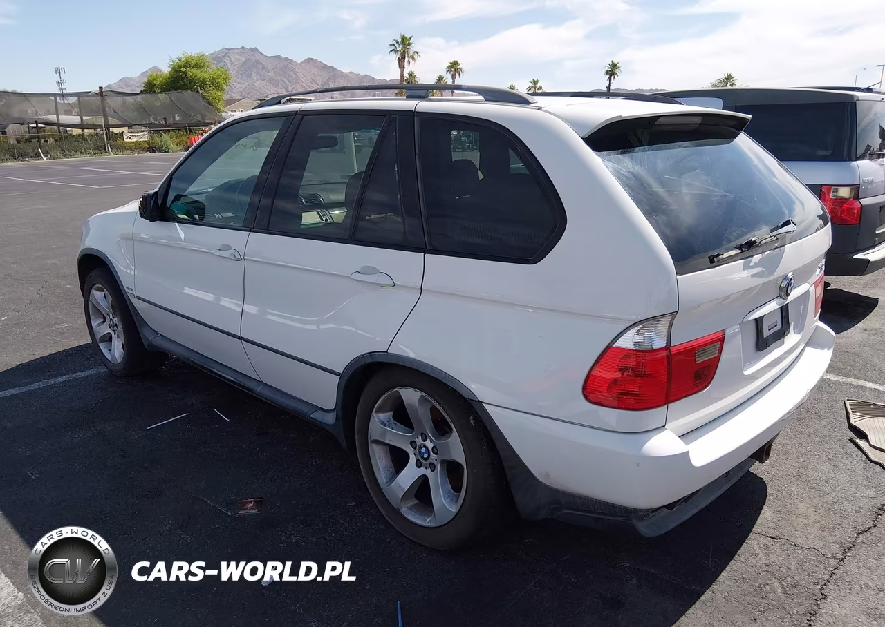 2005 BMW X5 4.4I VIN:5UXFB53565LV18210 - 3
