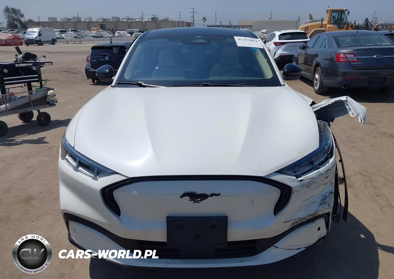 2023 Ford Mustang Mach-E Premium VIN:3FMTK3R48PMA90631 - 13