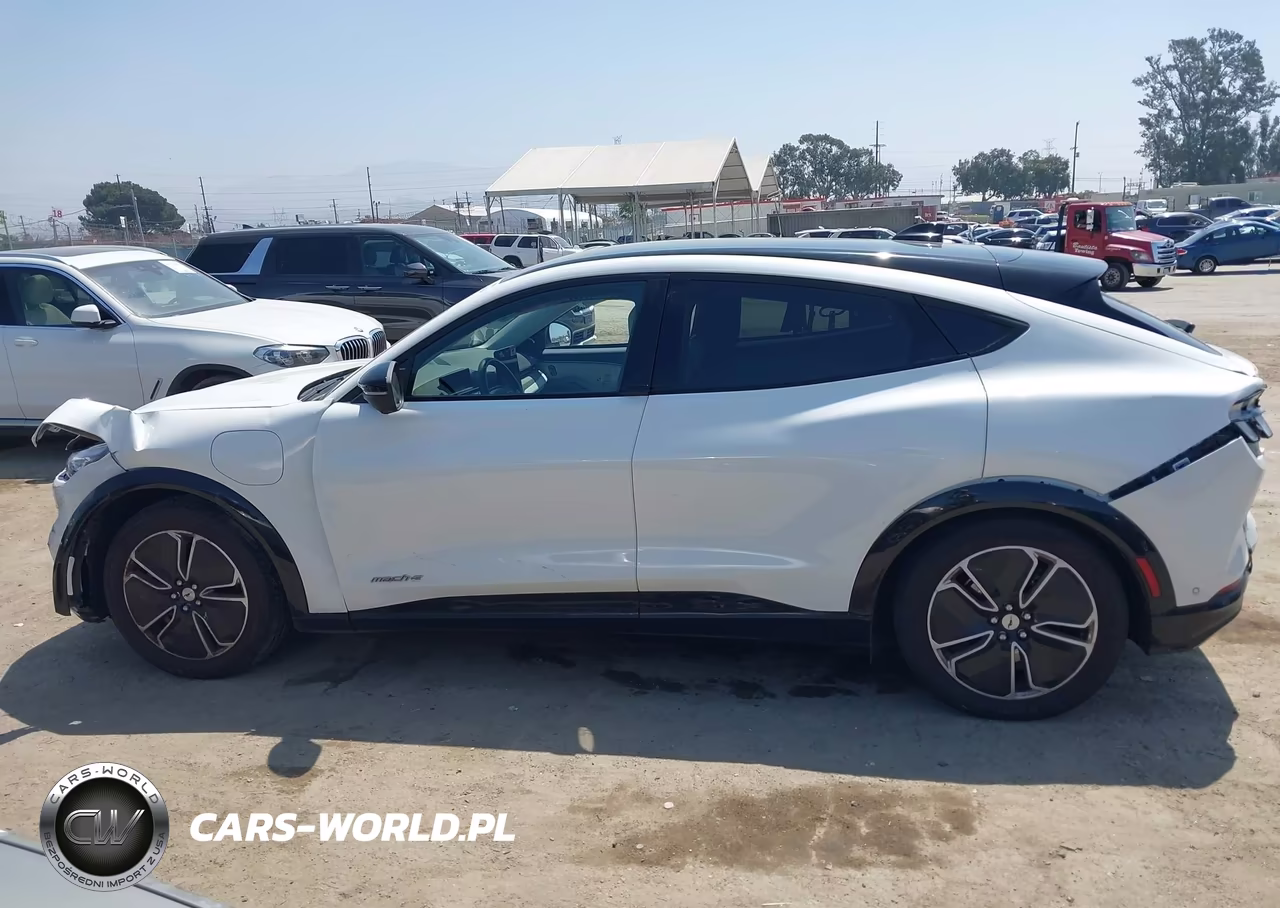 2023 Ford Mustang Mach-E Premium VIN:3FMTK3R48PMA90631 - 15