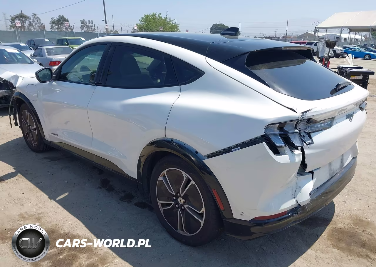 2023 Ford Mustang Mach-E Premium VIN:3FMTK3R48PMA90631 - 3