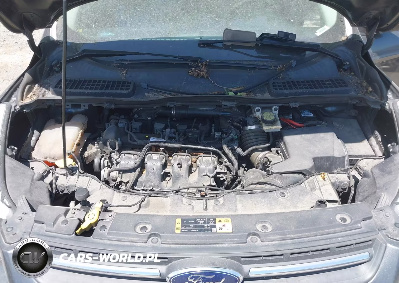 2015 Ford Escape Se VIN:1FMCU0G92FUA82655 - 10