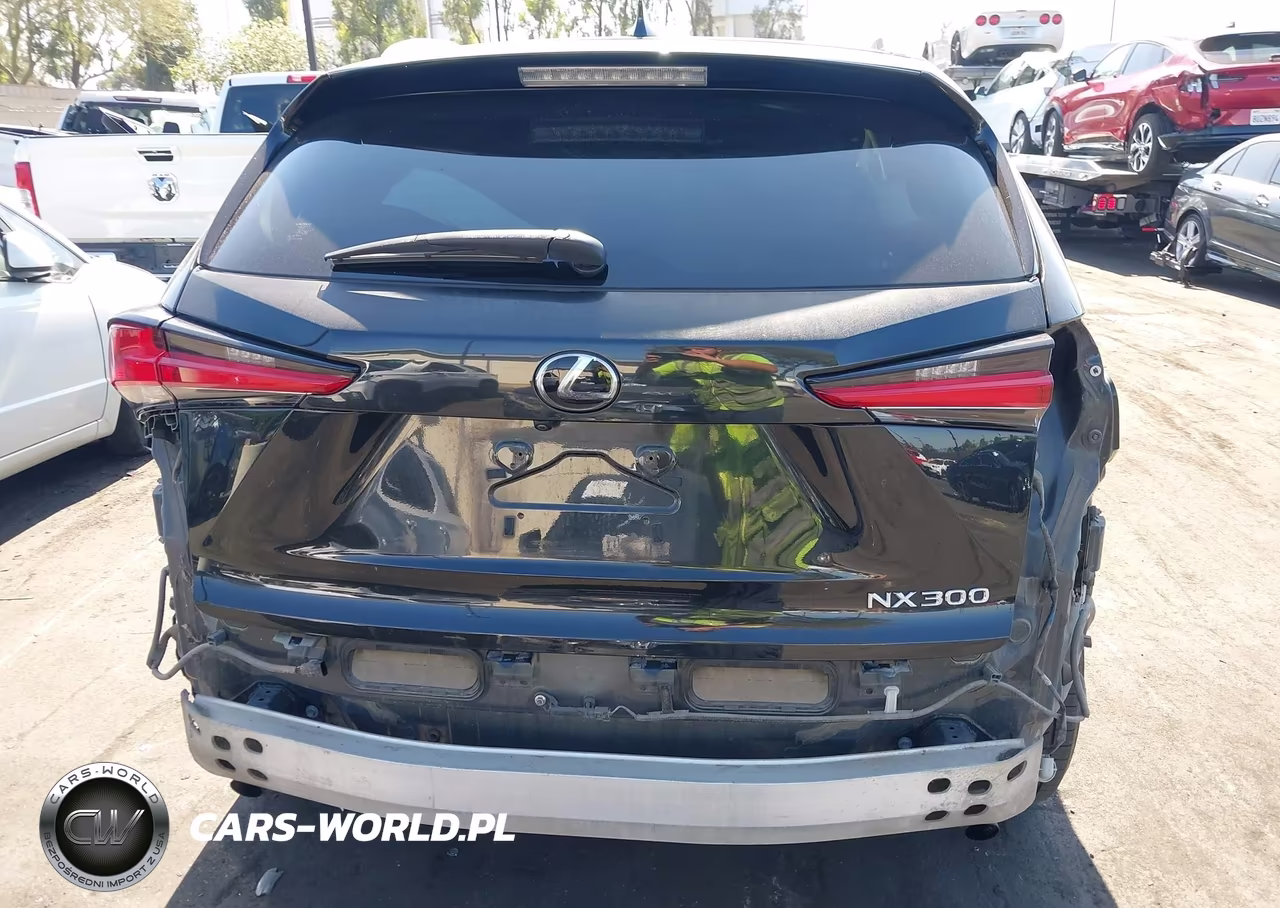 2018 Lexus Nx 300 VIN:JTJYARBZ8J2100348 - 17