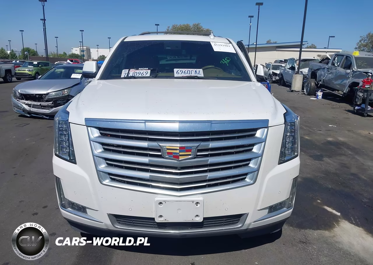 2017 Cadillac Escalade Platinum VIN:1GYS4DKJ0HR165932 - 13