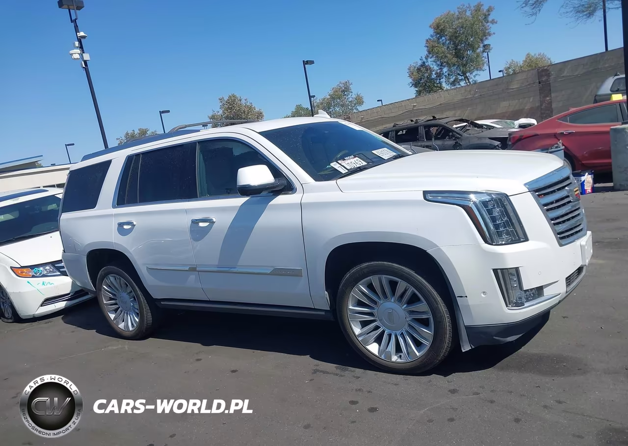 2017 Cadillac Escalade Platinum VIN:1GYS4DKJ0HR165932 - 14