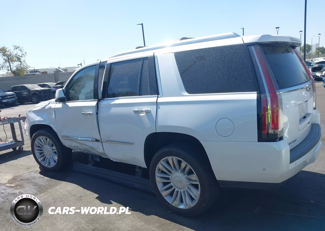 2017 Cadillac Escalade Platinum VIN:1GYS4DKJ0HR165932 - 15