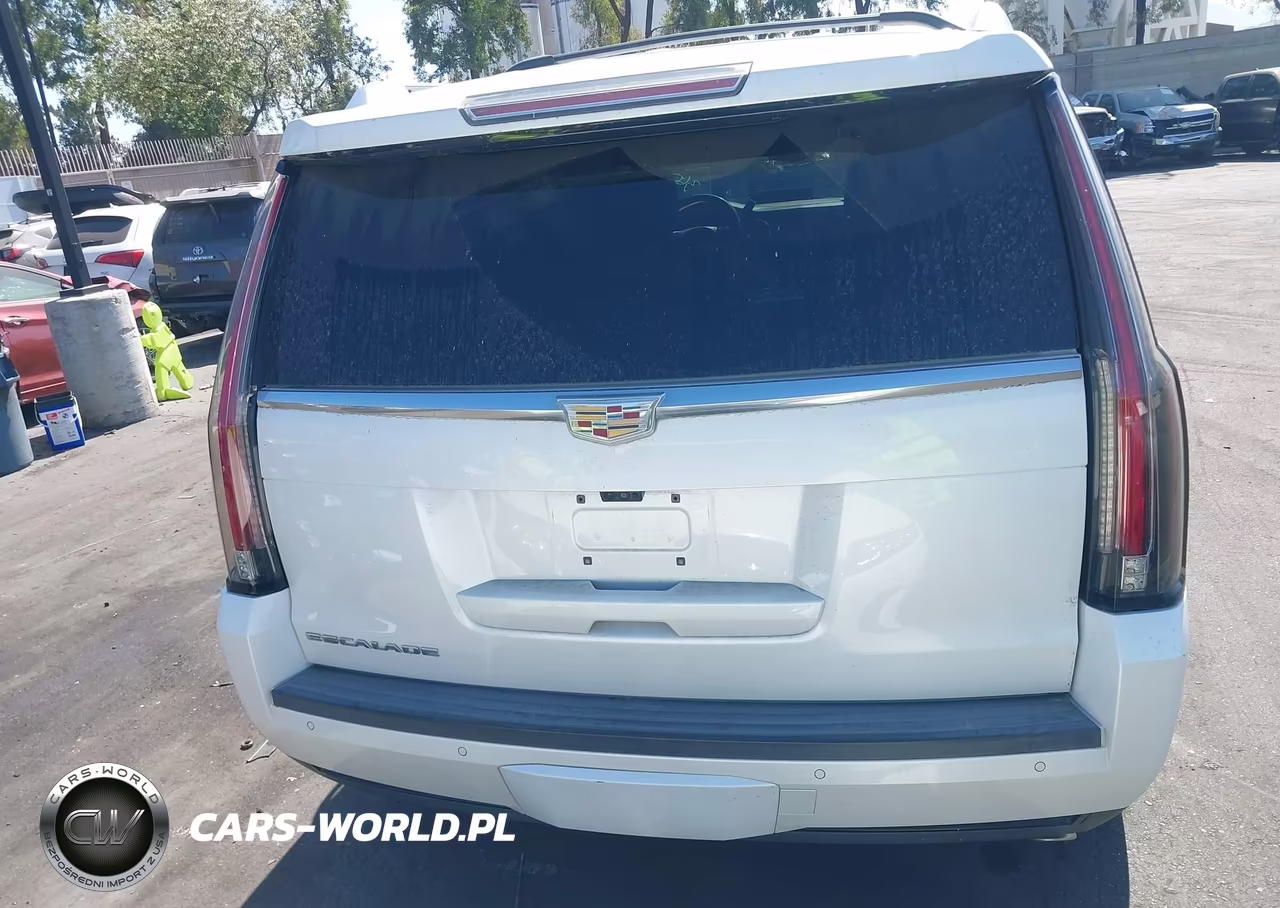 2017 Cadillac Escalade Platinum VIN:1GYS4DKJ0HR165932 - 17