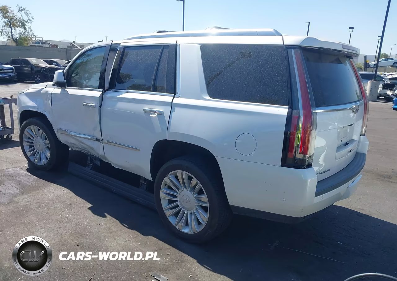 2017 Cadillac Escalade Platinum VIN:1GYS4DKJ0HR165932 - 3