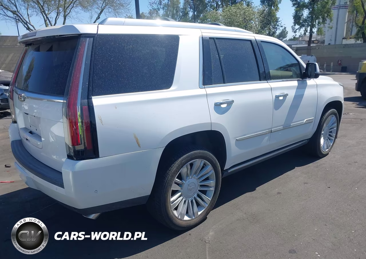 2017 Cadillac Escalade Platinum VIN:1GYS4DKJ0HR165932 - 4