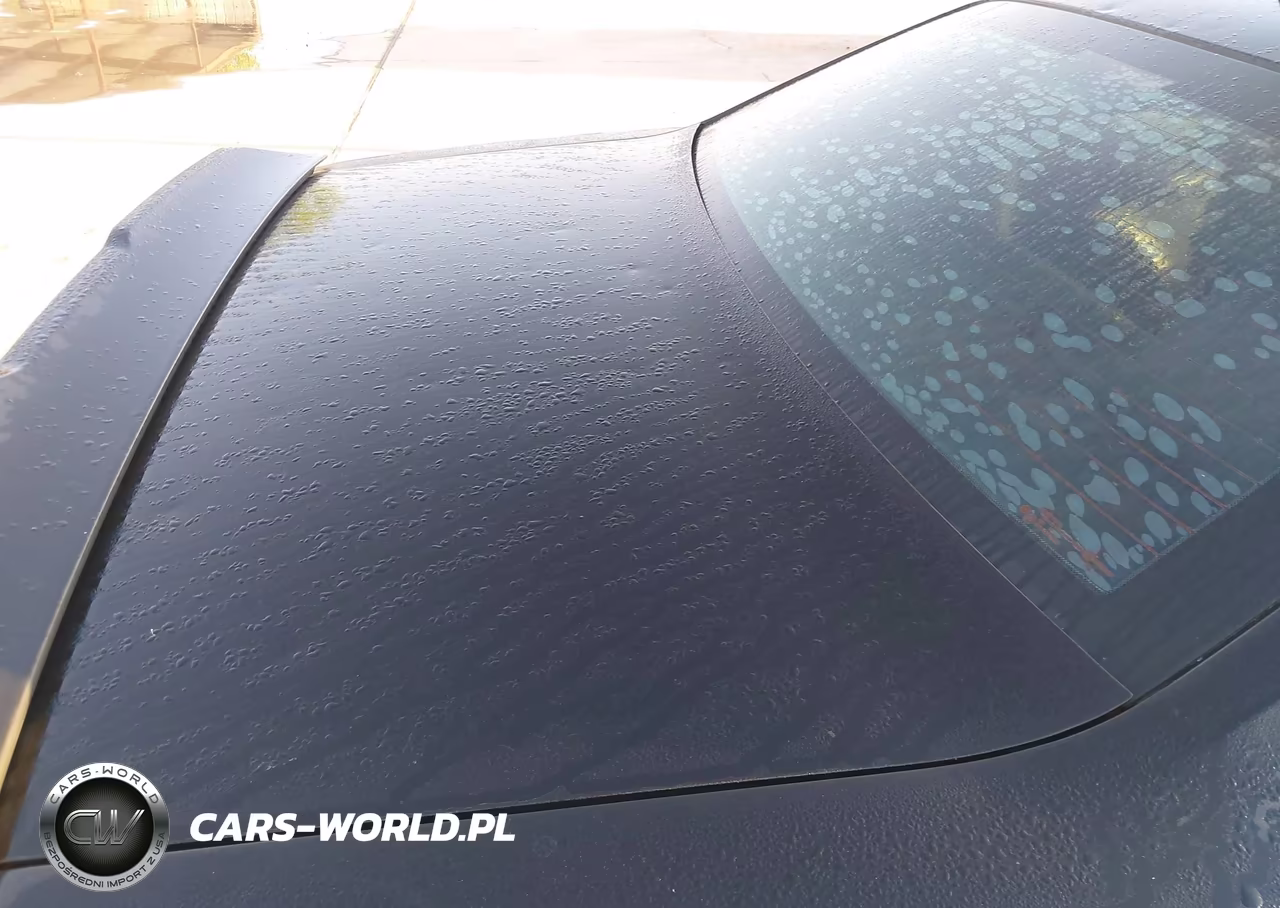 2019 Dodge Challenger Sxt VIN:2C3CDZAGXKH557597 - 19