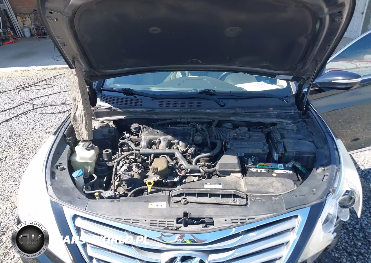 2014 Hyundai Azera Limited VIN:KMHFH4JG0EA349811 - 10
