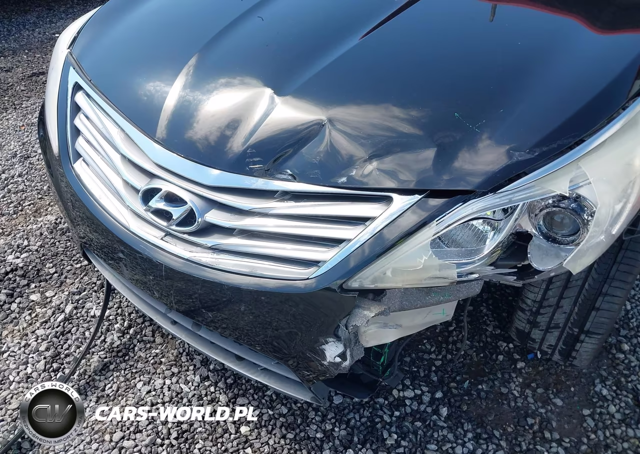 2014 Hyundai Azera Limited VIN:KMHFH4JG0EA349811 - 17