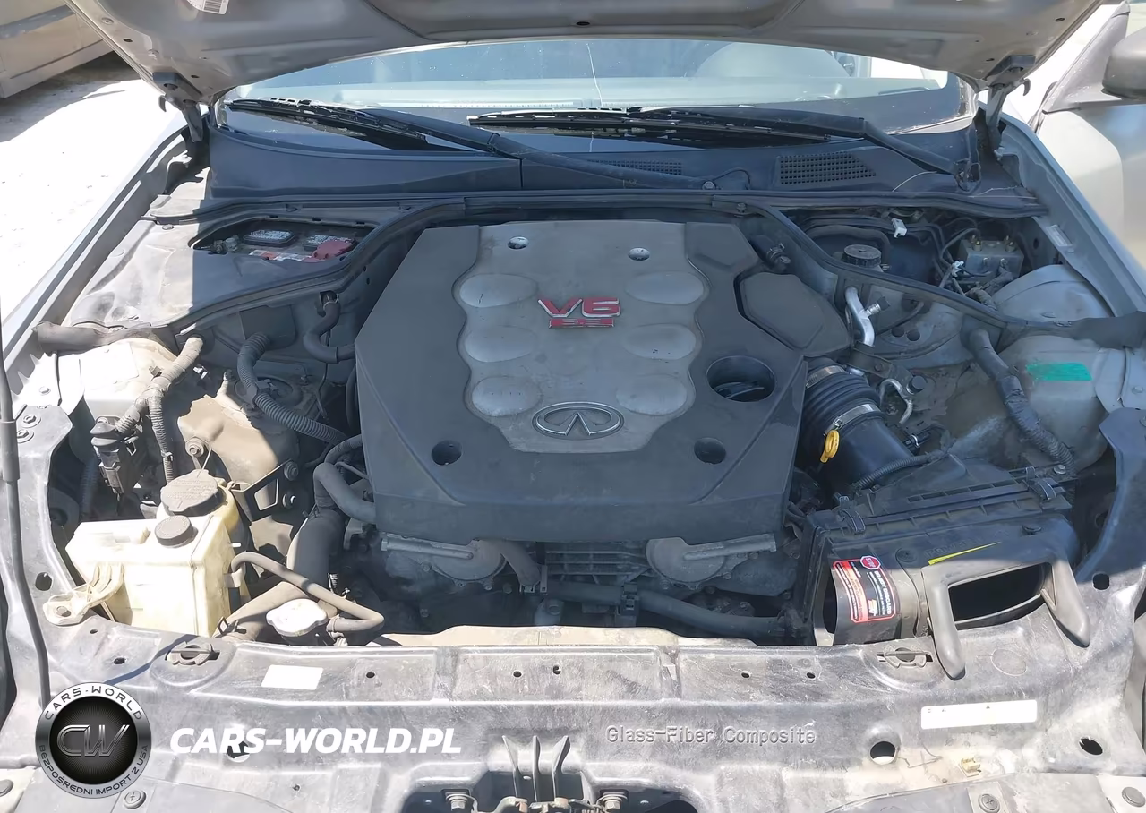 2004 Infiniti G35 VIN:JNKCV54E84M306622 - 10