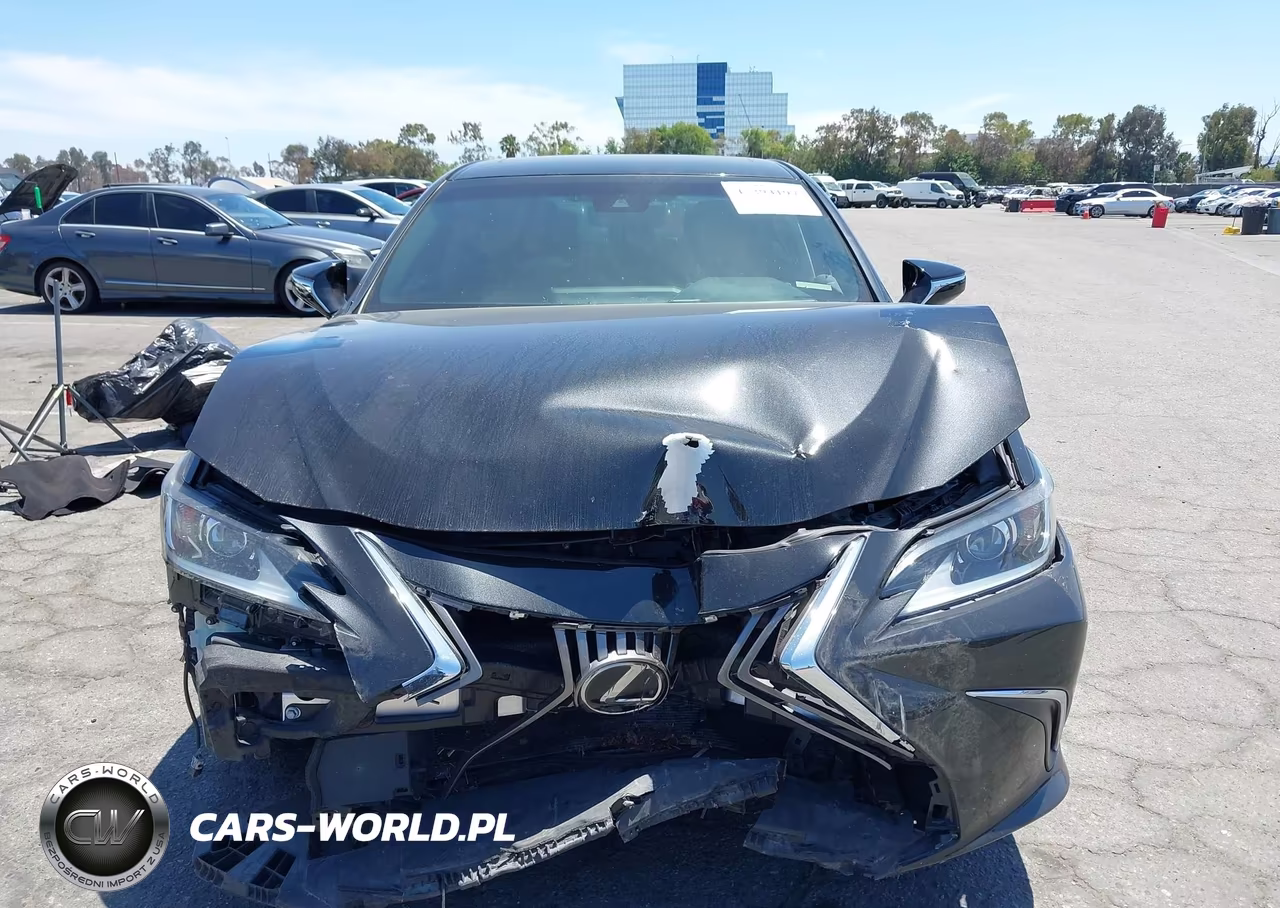 2020 Lexus Es 350 VIN:58ACZ1B11LU080022 - 12