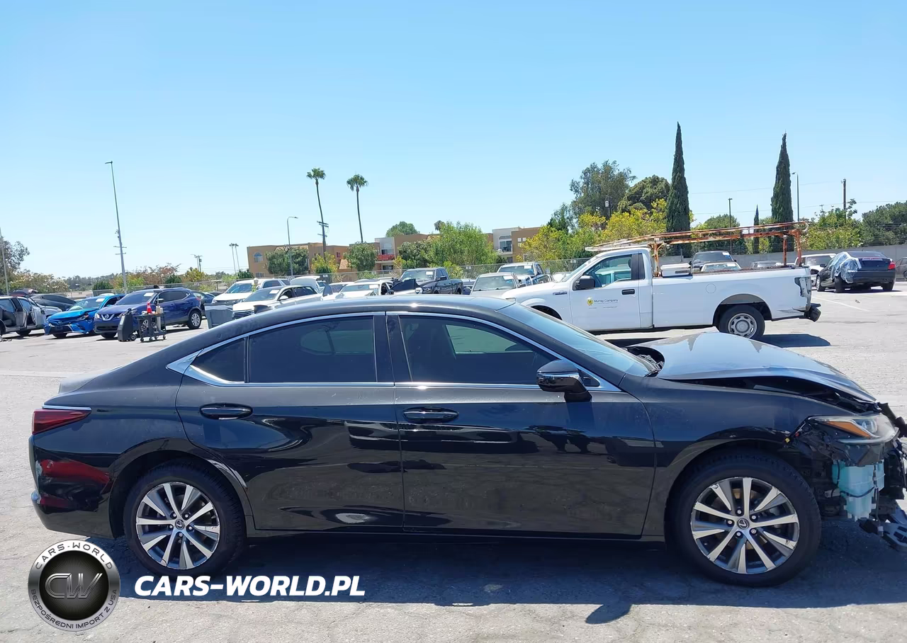 2020 Lexus Es 350 VIN:58ACZ1B11LU080022 - 13