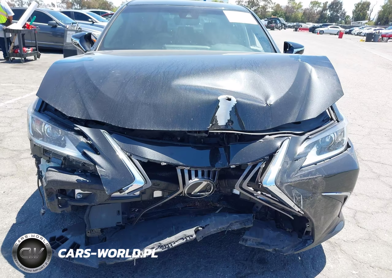 2020 Lexus Es 350 VIN:58ACZ1B11LU080022 - 6
