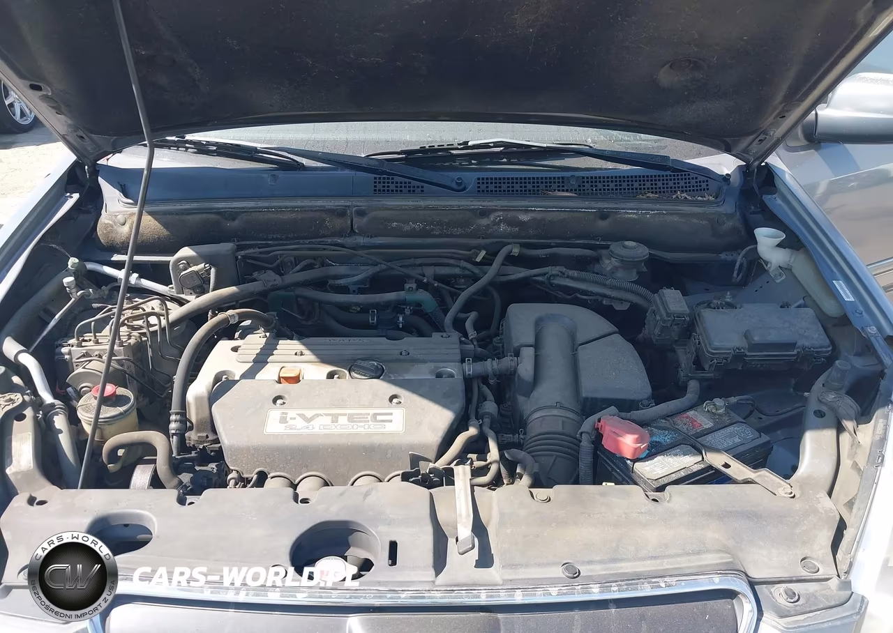 2006 Honda Cr-V Se VIN:JHLRD789X6C020791 - 10