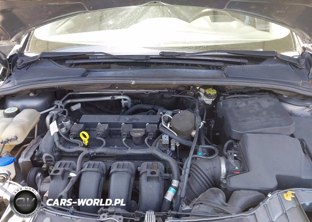 2012 Ford Focus Sel VIN:1FAHP3H25CL371900 - 10