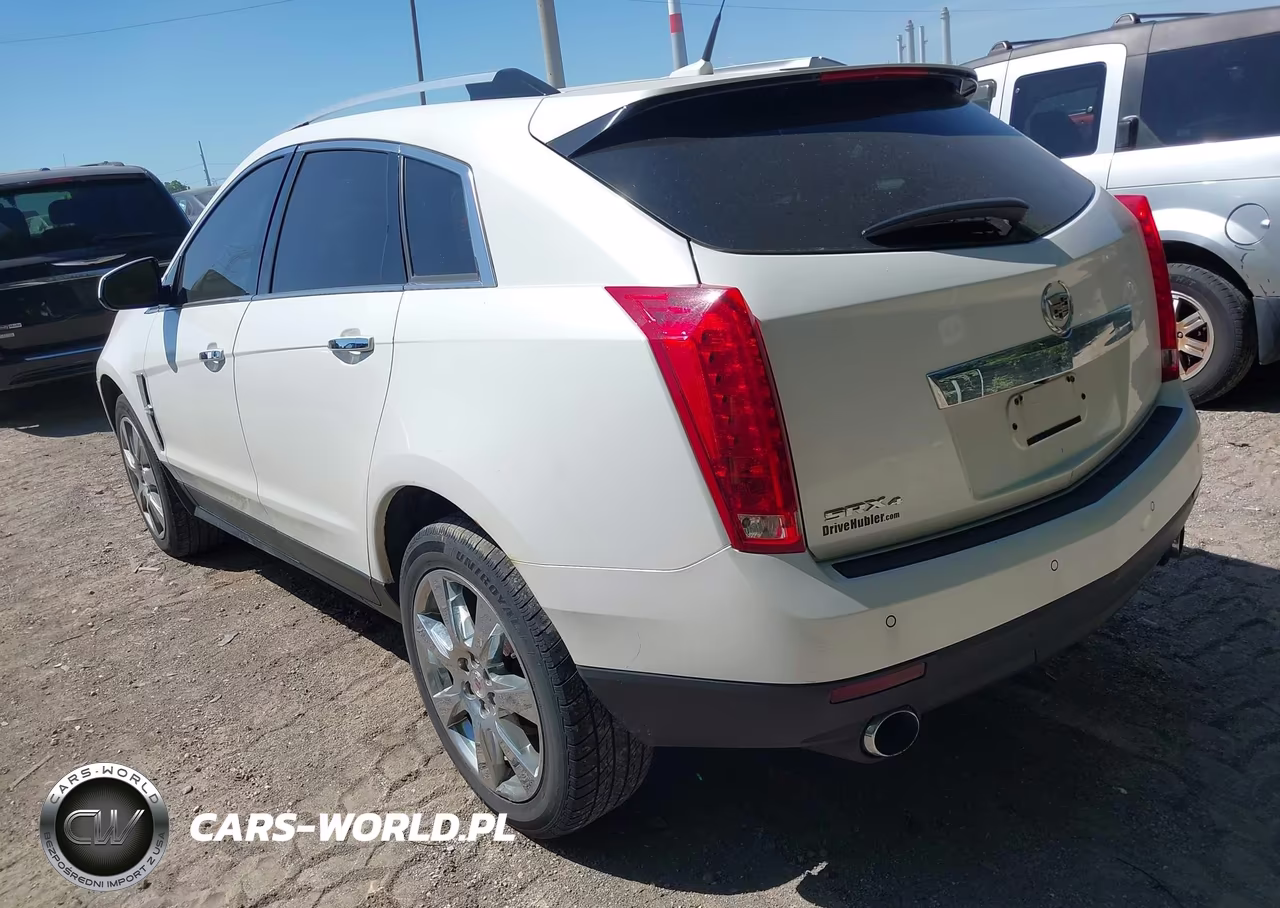 2010 Cadillac Srx Premium Collection VIN:3GYFNFEY8AS554811 - 3