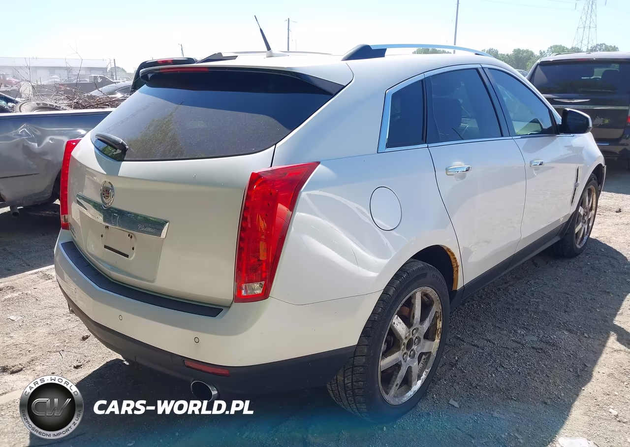 2010 Cadillac Srx Premium Collection VIN:3GYFNFEY8AS554811 - 4